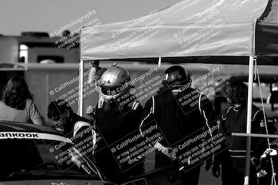 media/Oct-14-2023-Lucky Dog Racing (Sat) [[cef75db616]]/1-Around the Pits/